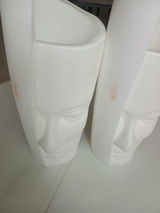 Ravi review photo