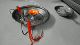 Swati Swami review photo