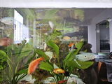 Zekeriya Cam review photo