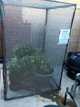 Heather Mills review photo