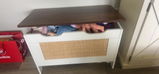 Allysan Bethune review photo
