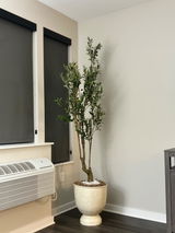 Cesar review photo