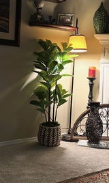 Miracle Mom review photo