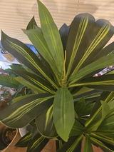 Garvee Reviewer review photo