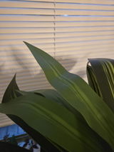 Garvee Reviewer review photo