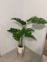 B. Patino review photo