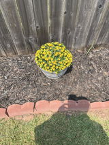 Garvee Customer review photo