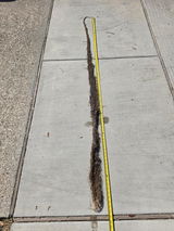 Clemson Rules review photo