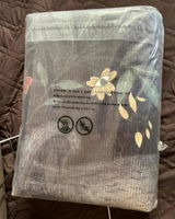 MollysMommy review photo