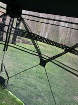 Courtneythink review photo