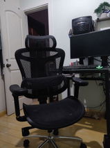 Gustav Bauer review photo