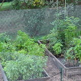 Pedro_Agro review photo