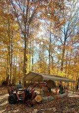 Ingeniero Forestal review photo