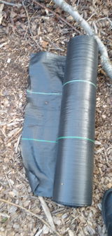 Socorro Arellano review photo