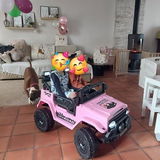Simón Infantil review photo