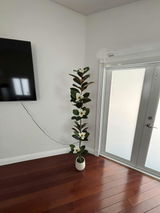 Gaia Gatti review photo