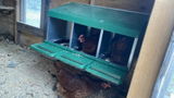 Giorgio De Luca review photo