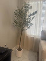 Luca Santoro review photo