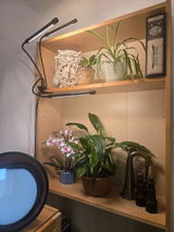Debi review photo