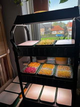 Microgreen Minnie review photo