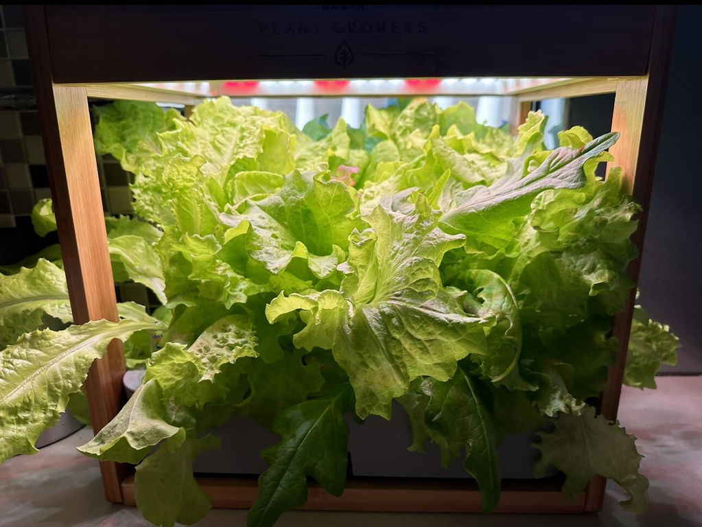 Hydroponic Nutrients - Herbs and Leafy Greens