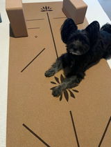 Etsy customer review photo