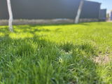 Ciprian A. review photo
