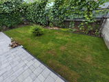 Iulian review photo