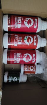 Lucian M. review photo