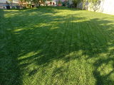 Manu_cociuba@yahoo.com review photo