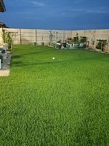 Liviu review photo