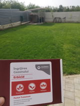 Serban review photo