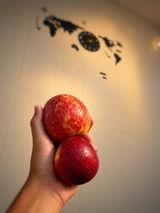 Anonymous review photo