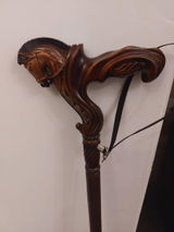 Araceli review photo