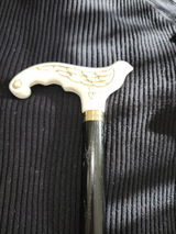 Georgette review photo