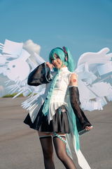 Allanis review photo