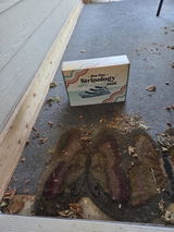 Anonymous review photo
