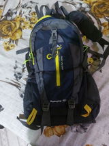 Carl P. review photo