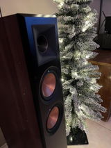 Eberardo S. review photo