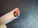 Mark J. review photo