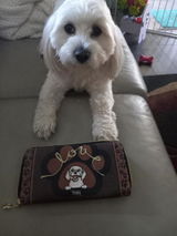 Grandma Dropski review photo