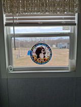Brenda Cox review photo