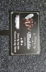 Maddie review photo