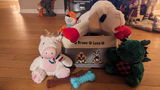 Kristine Guardino review photo