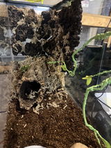 Kayla Broomell review photo