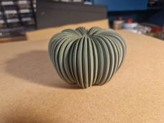 Review picture