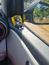 Ishu Panda review photo