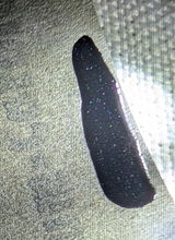 Alan M. review photo
