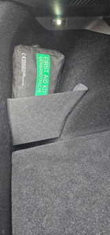 Pauli review photo