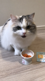 匿名 review photo